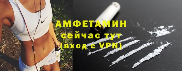 гашик Михайловск