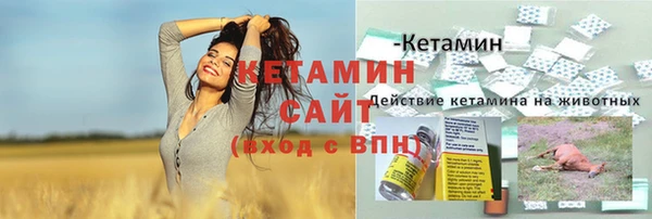 ГАЛЛЮЦИНОГЕННЫЕ ГРИБЫ Суровикино
