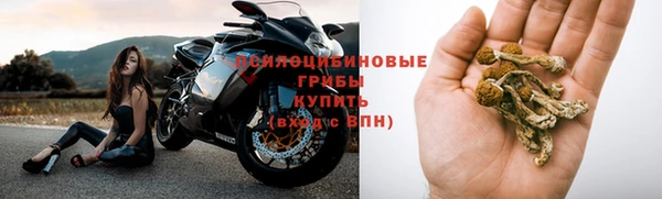 apvp Мегион