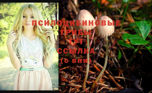 спайс Михайловка