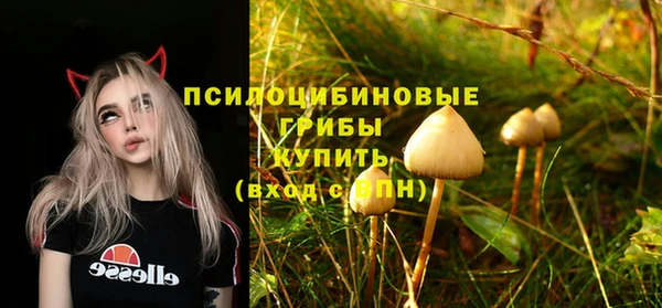 гашиш Медногорск