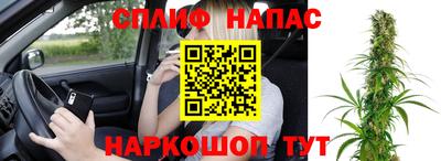 хмурый Бийск