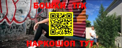 хмурый Бийск