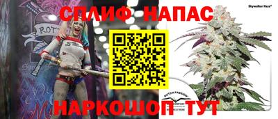 хмурый Бийск