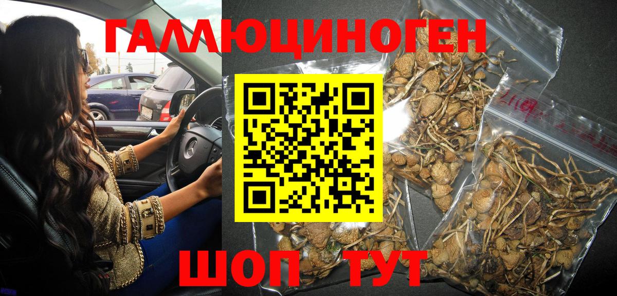 Пермь  Галлюциногенные грибы мицелий  Вход с VPN 
