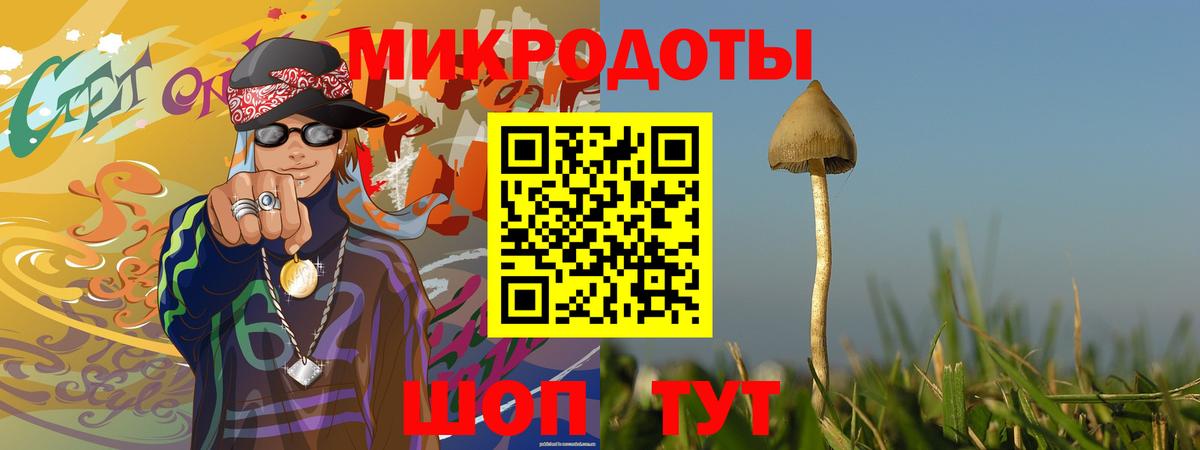 Галлюциногенные грибы MAGIC MUSHROOMS  Пермь  Галлюциногенные грибы Psilocybine cubensis 