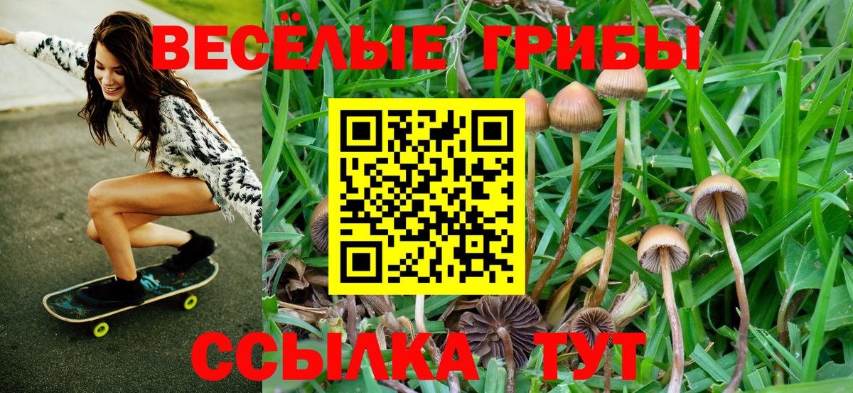 Псилоцибиновые грибы Magic Shrooms Пермь